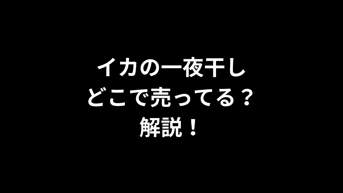 イカの一夜干しはどこで売ってるのかを解説！